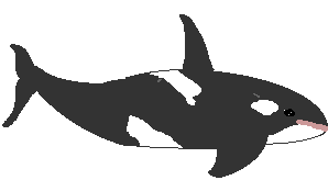 an Orca (animated)